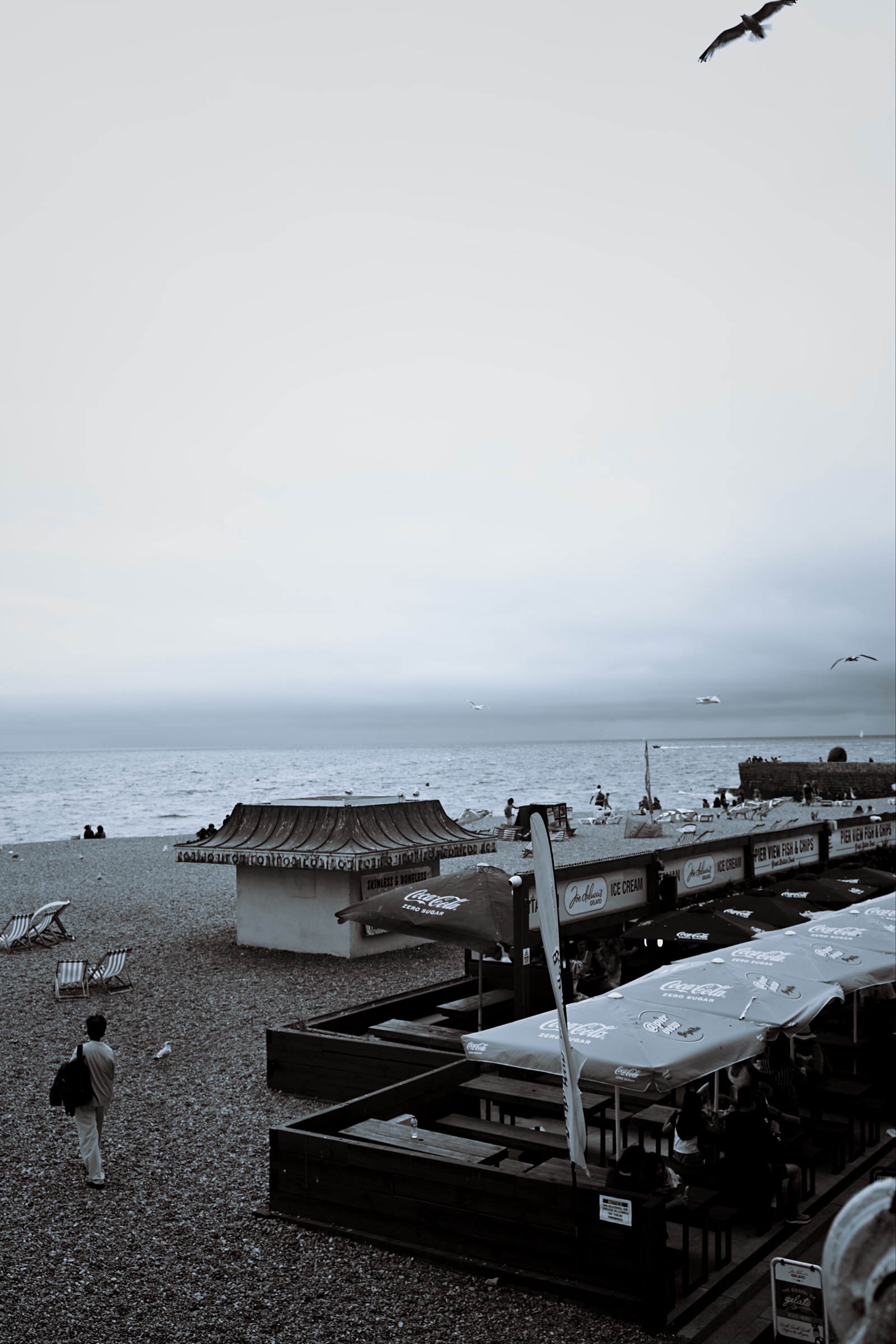 A solitary figure crosses a pebbled shore beneath circling gulls as people gather near the sea