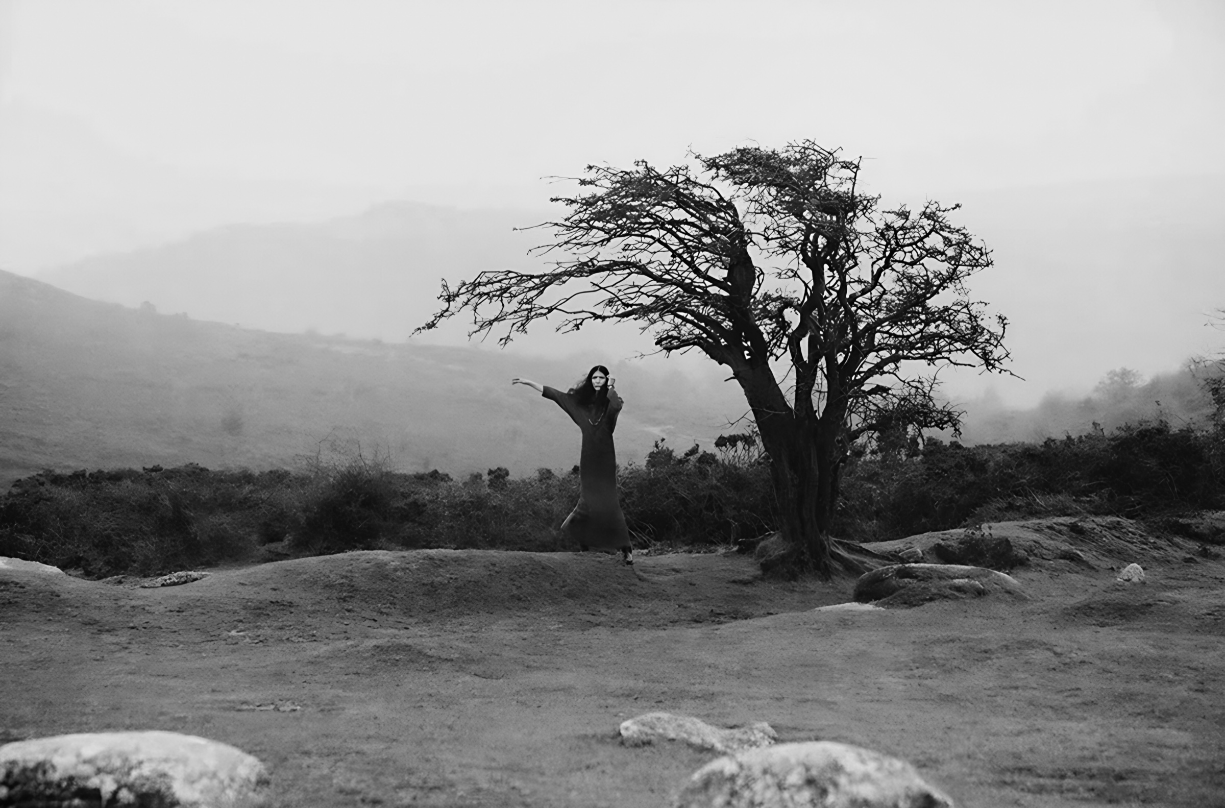 A solitary figure beside a windswept tree, from Tree of Life