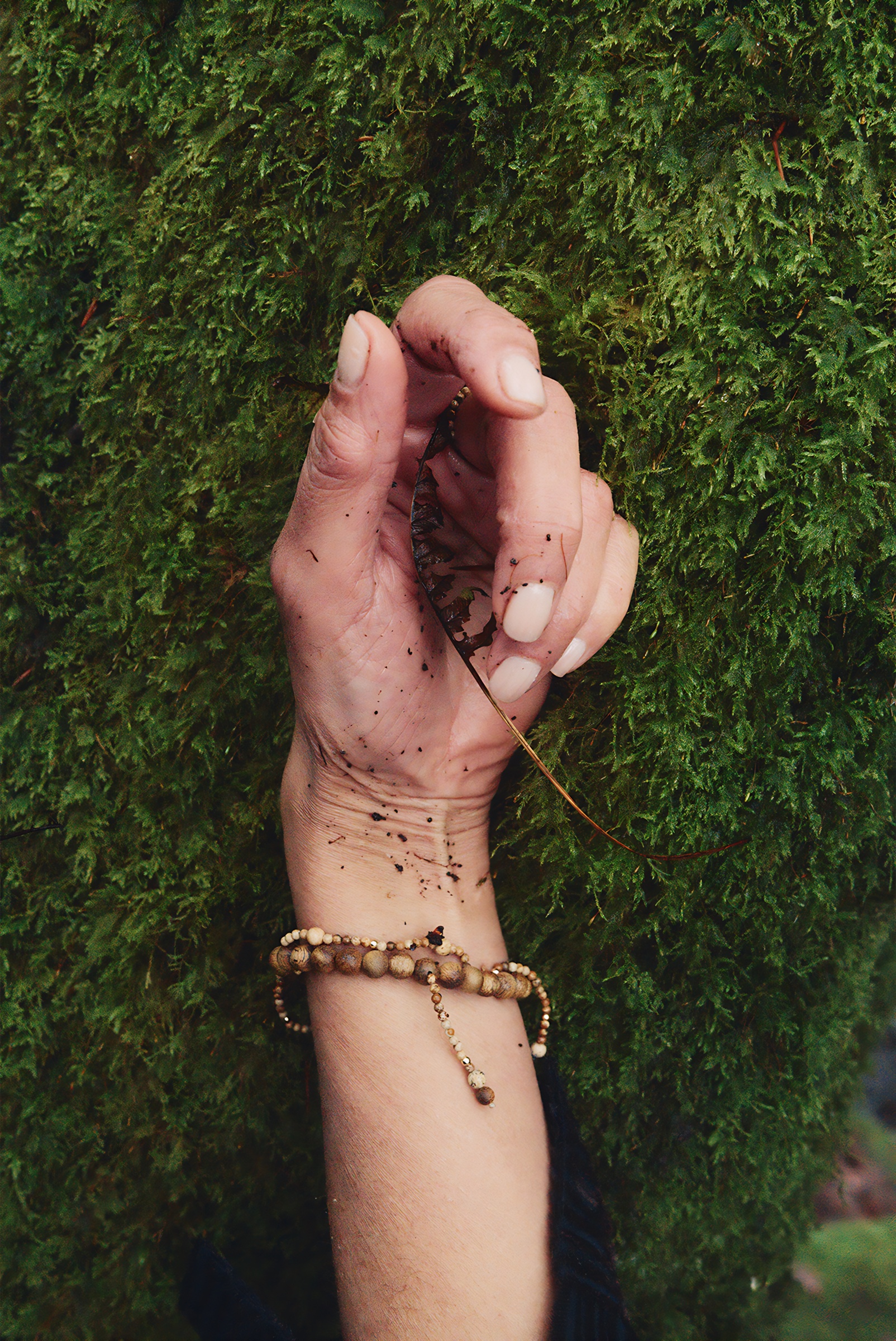 A hand covered with earth resting against deep green moss